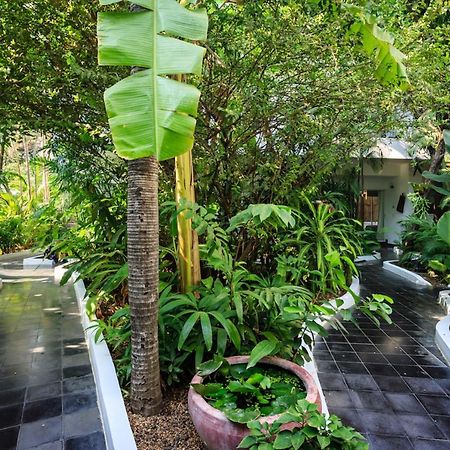 Samsara Villa Phnom Penh Zewnętrze zdjęcie